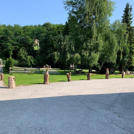 Landgasthof Steinmuehl Hofbauer Fruehstueckspension Und Campingplatz Waidhofen an der Ybbs Eksteriør bilde